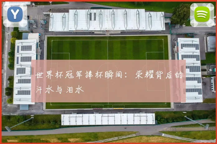 世界杯冠军捧杯瞬间:荣耀背后的汗水与泪水