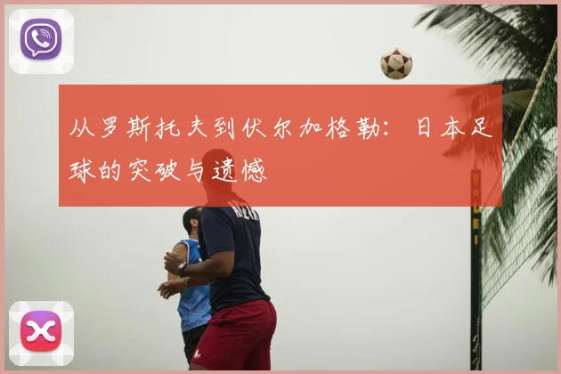 从罗斯托夫到伏尔加格勒:日本足球的突破与遗憾