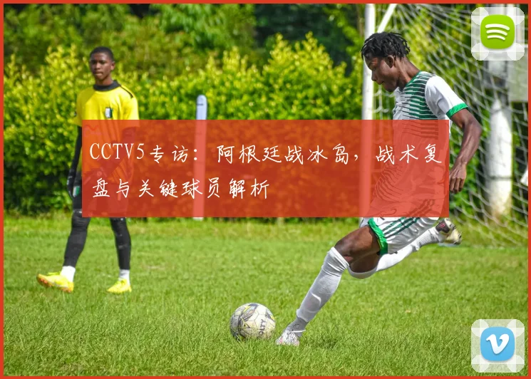 CCTV5专访：阿根廷战冰岛，战术复盘与关键球员解析