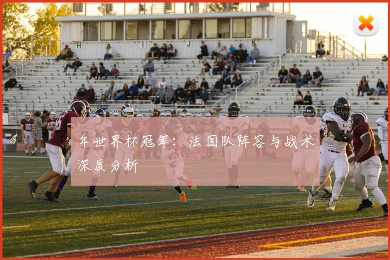 年世界杯冠军：法国队阵容与战术深度分析