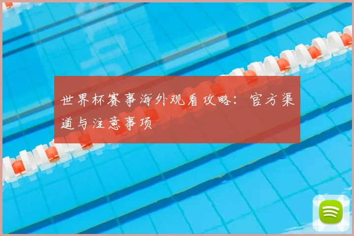 世界杯赛事海外观看攻略:官方渠道与注意事项