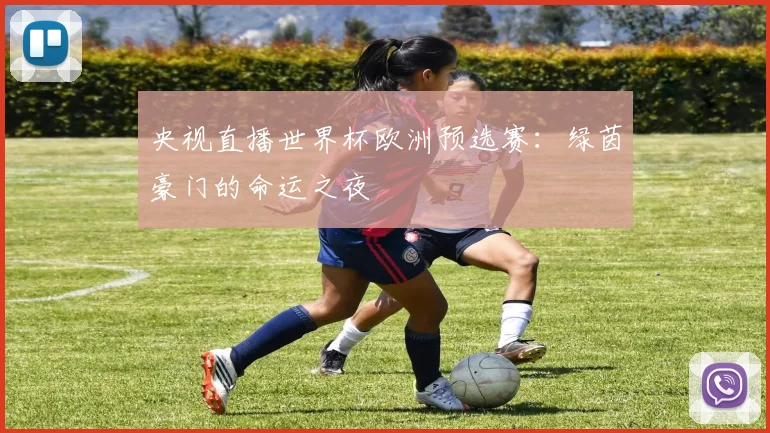 央视直播世界杯欧洲预选赛:绿茵豪门的命运之夜