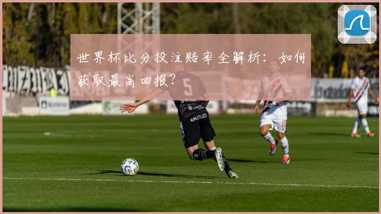世界杯比分投注赔率全解析：如何获取最高回报？