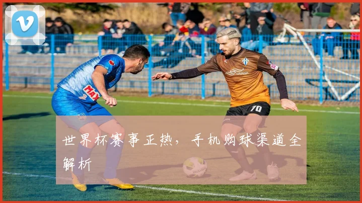 世界杯赛事正热，手机购球渠道全解析