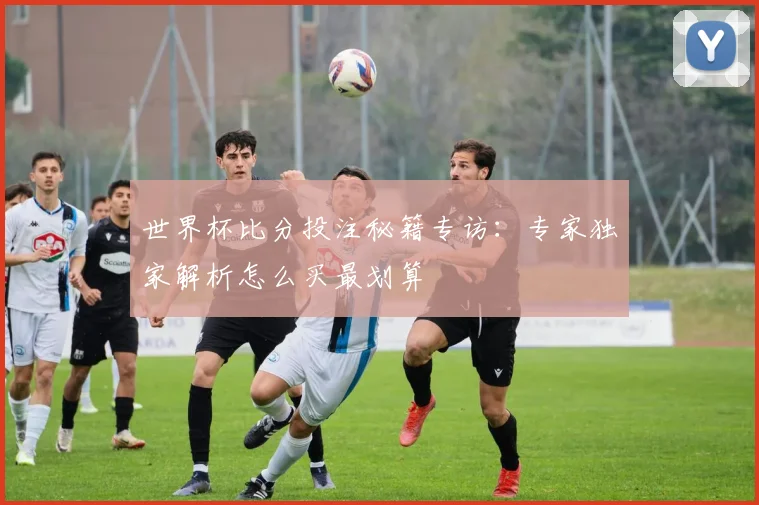 世界杯比分投注秘籍专访：专家独家解析怎么买最划算