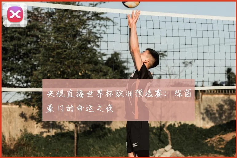 央视直播世界杯欧洲预选赛:绿茵豪门的命运之夜