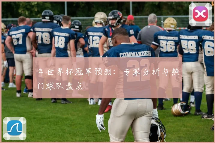 年世界杯冠军预测：专家分析与热门球队盘点
