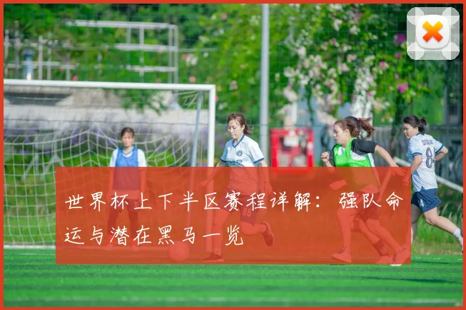 世界杯上下半区赛程详解：强队命运与潜在黑马一览